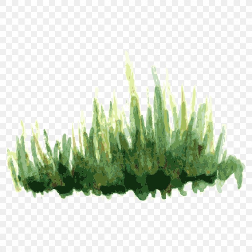 Tree Plant, PNG, 1000x1000px, Tree, Drawing, Flowerpot, Grass, Grass Family Download Free
