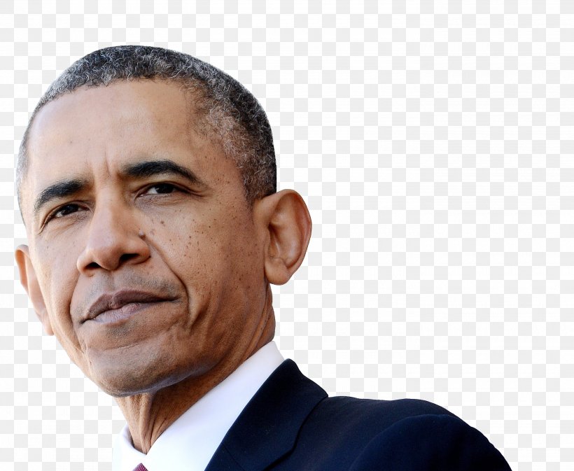 Barack Obama President Of The United States Where's The Birth Certificate? First In His Class, PNG, 2800x2300px, Barack Obama, Business, Chin, Donald Trump, Election Download Free