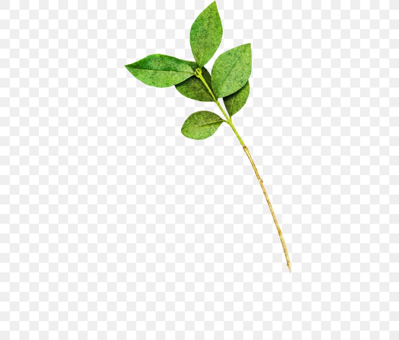 Collage Leaf Plant Stem Wildlife, PNG, 375x699px, Collage, Branch, Leaf, Liveinternet, Plant Download Free