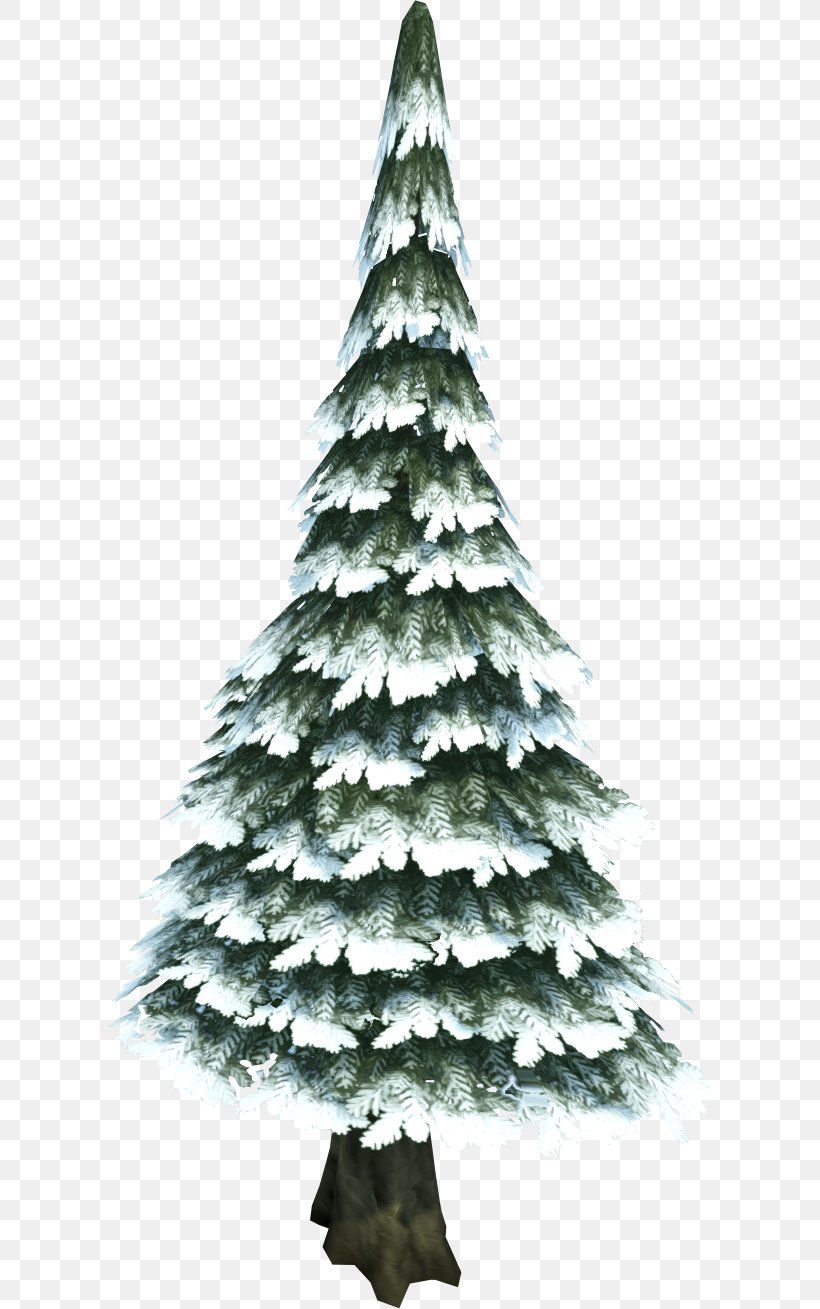 Pine Tree Evergreen Fir, PNG, 605x1309px, Pine, Christmas, Christmas Decoration, Christmas Ornament, Christmas Tree Download Free
