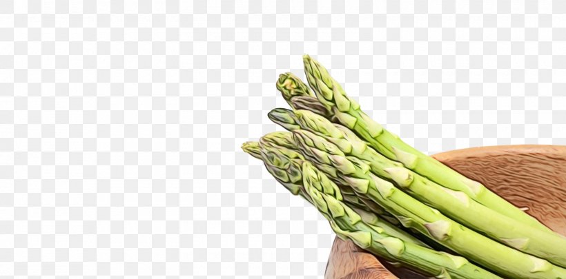 Wooden Spoon, PNG, 1600x792px, Asparagus, Bean, Common Bean, Drawing, Food Download Free