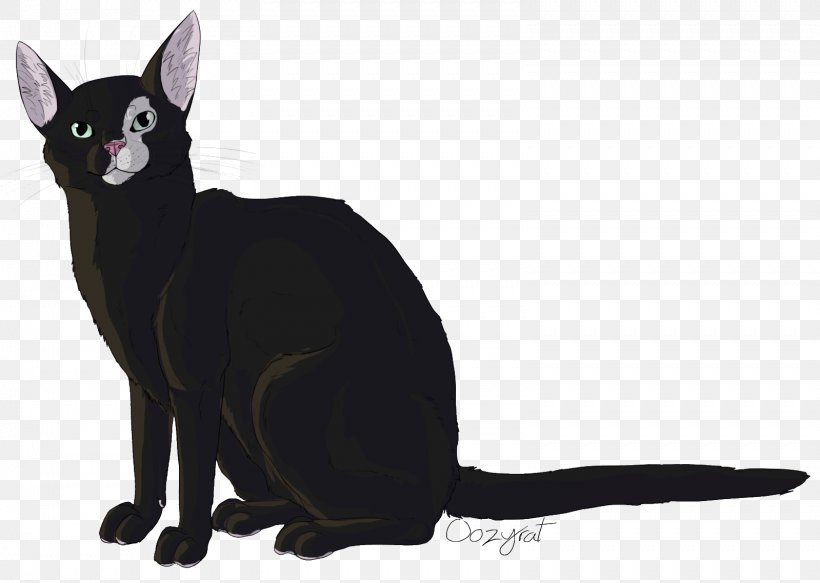 Black Cat Bombay Cat Kitten Domestic Short-haired Cat Whiskers, PNG, 1599x1138px, Black Cat, Bombay, Bombay Cat, Carnivoran, Cat Download Free