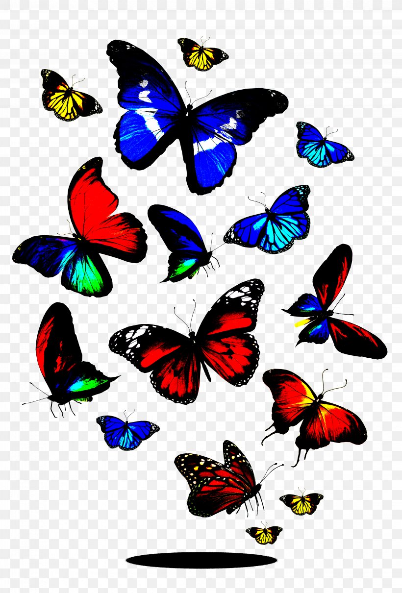 Butterfly Royalty-free Stock Photography Clip Art, PNG, 4480x6616px, Butterfly, Artwork, Brush Footed Butterfly, Butterflies And Moths, Color Download Free