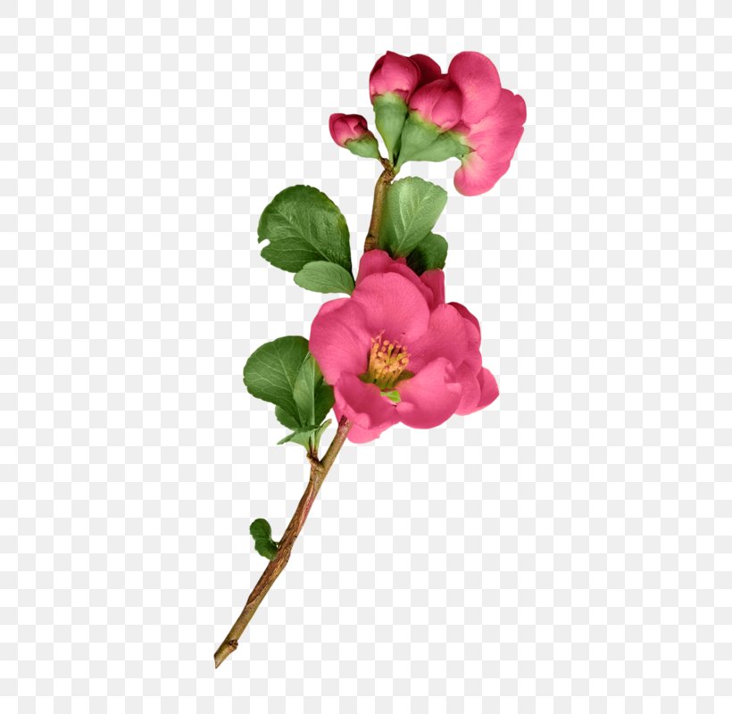 Garden Roses Artificial Flower Cut Flowers Plant Stem, PNG, 471x800px, Garden Roses, Art, Artificial Flower, Blossom, Branch Download Free