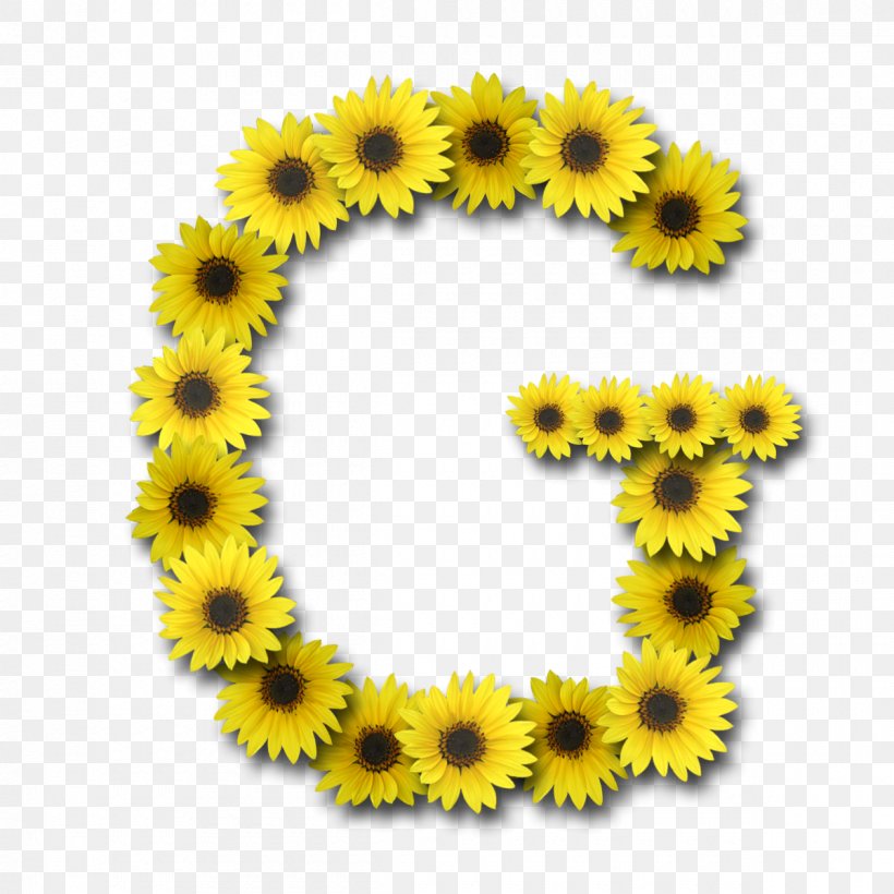 Letter Case Alphabet N G, PNG, 1200x1200px, Letter, Alphabet, Common Sunflower, Daisy Family, Flower Download Free