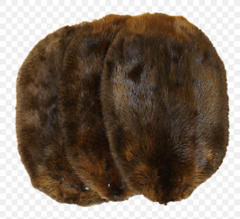 North American Beaver Muskrat Fur Trade Biberfell, PNG, 960x875px, North American Beaver, Animal, Beaver, Biberfell, Buckskinning Download Free