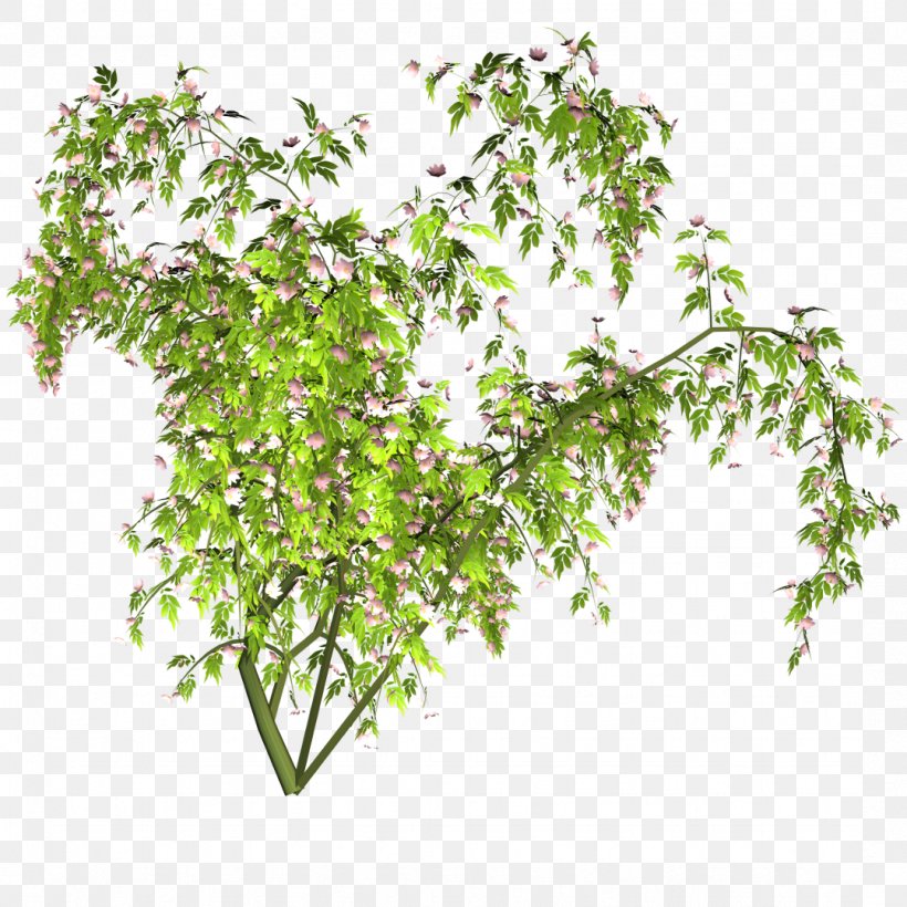 Plant, PNG, 1078x1078px, Tree, Branch, Computer Graphics, Flowerpot, Herb Download Free