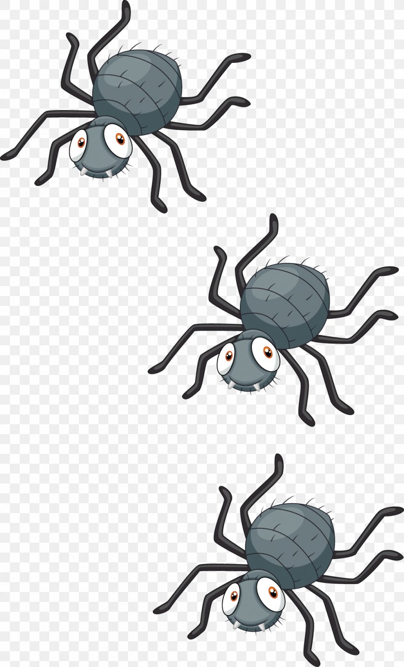Spider Royalty-free Clip Art, PNG, 1044x1722px, Spider, Art, Arthropod, Artwork, Can Stock Photo Download Free