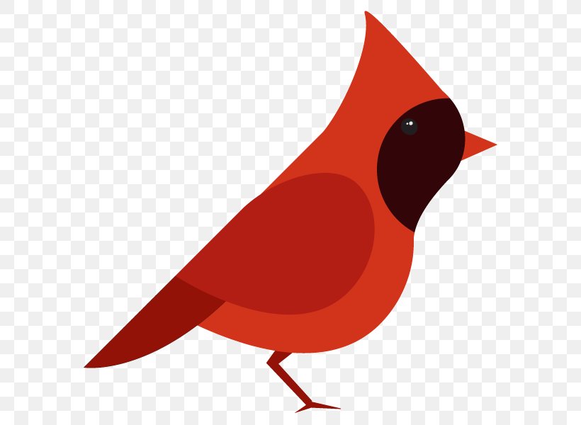 European Robin Bird Northern Cardinal Drawing, PNG, 600x600px, European Robin, Beak, Bird, Cardinal, Drawing Download Free