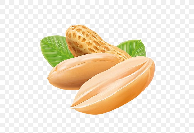 Peanut Butter, PNG, 564x564px, Peanut, Commodity, Food, Fruit, Peach Download Free