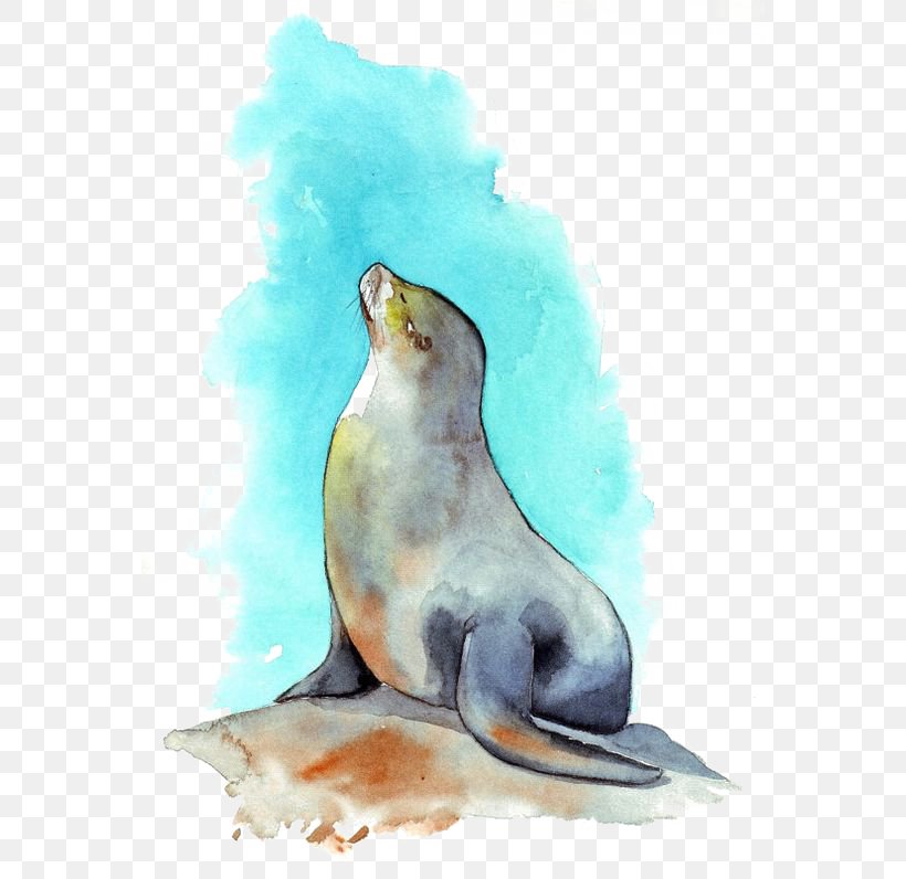 Sea Lion Watercolor Painting, PNG, 564x796px, Sea Lion, Aesthetics, Art, Beak, Fauna Download Free