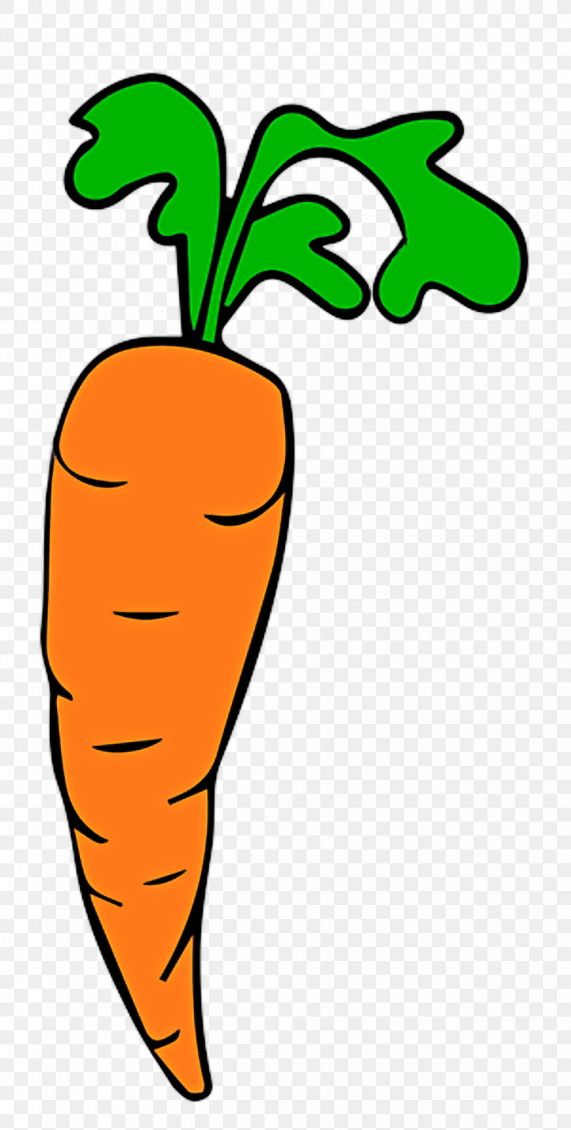 Carrot Root Vegetable Vegetable Radish Plant, PNG, 970x1920px, Carrot, Food, Plant, Plant Stem, Radish Download Free