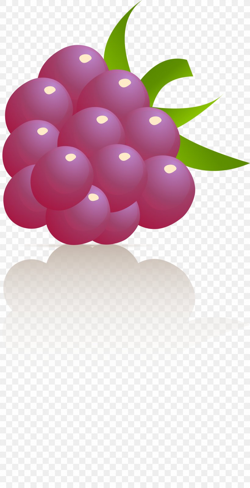 Common Grape Vine Juice Cocktail Fizzy Drinks, PNG, 2362x4607px, Grape, Berries, Berry, Cherry, Cocktail Download Free