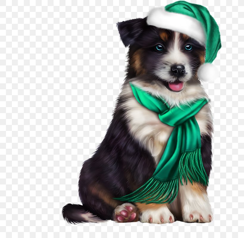 Yorkshire Terrier Puppy Clip Art Cutest Animals, PNG, 680x800px, Yorkshire Terrier, Animal, Australian Shepherd, Bernese Mountain Dog, Border Collie Download Free