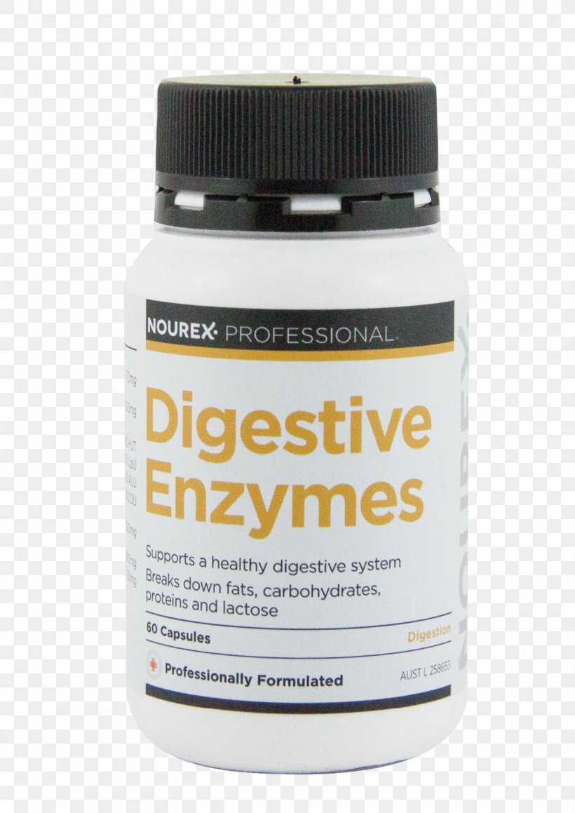 Digestive Enzyme Digestion Liver Dietary Supplement, PNG, 1240x1754px, Digestive Enzyme, Allergy, Capsule, Carbohydrate, Chemical Decomposition Download Free