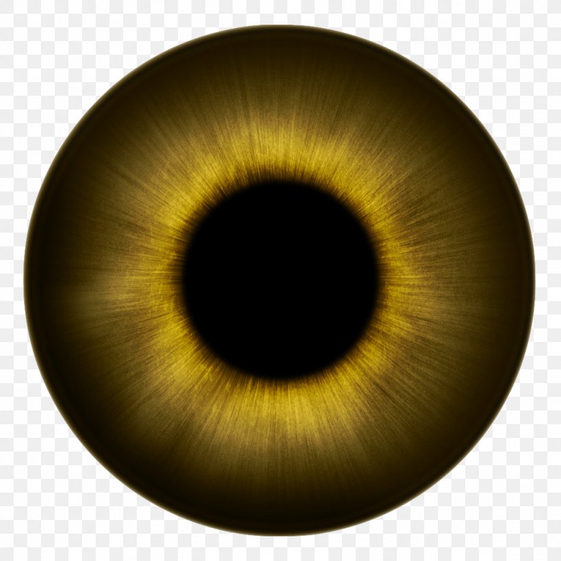 Human Eye Iris Texture Eye Color, PNG, 1024x1024px, Watercolor, Cartoon, Flower, Frame, Heart Download Free