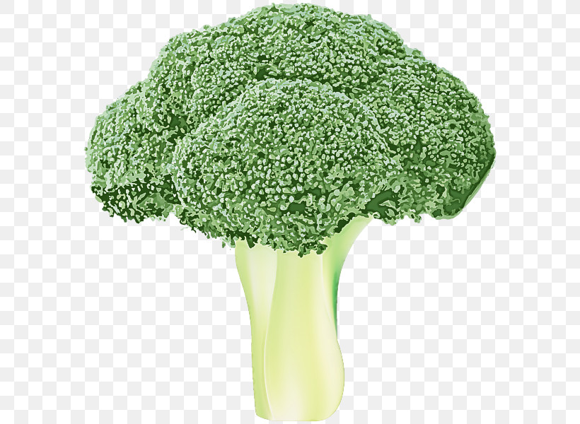 Broccoli Leaf Vegetable Green Vegetable Wild Cabbage, PNG, 590x600px, Broccoli, Cabbage, Flower, Grass, Green Download Free
