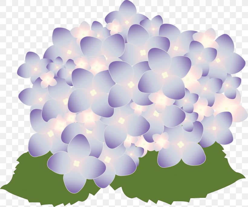 Flower Euclidean Vector, PNG, 1430x1196px, Flower, Art, Blossom, Lilac, Petal Download Free