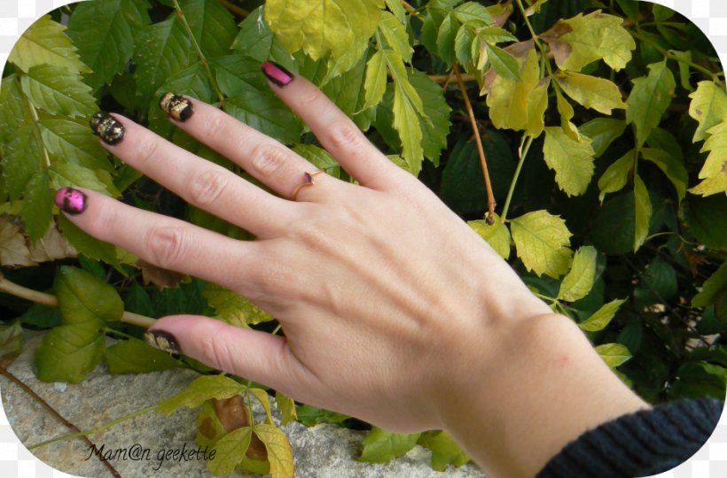 Leaf Vegetable Nail, PNG, 938x618px, Leaf, Finger, Grass, Hand, Leaf Vegetable Download Free