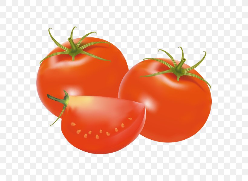 Plum Tomato Welsh Onion Vegetarian Cuisine Food, PNG, 600x600px, Plum Tomato, Bush Tomato, Coriander, Diet Food, Food Download Free
