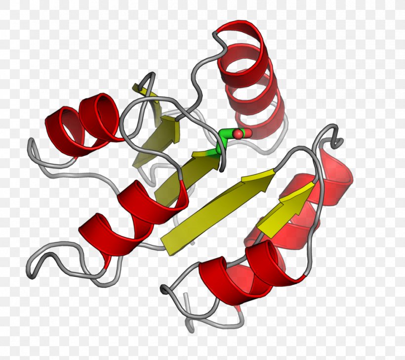 Response Regulator Histidine Kinase Two-component Regulatory System Histidine Phosphotransfer Domain Protein, PNG, 970x862px, Histidine Kinase, Adenosine Triphosphate, Artwork, Cell, Dnabinding Protein Download Free