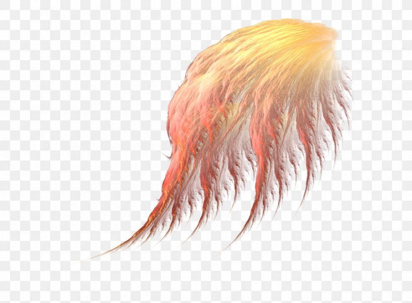 Wing DeviantArt Clip Art, PNG, 900x663px, Wing, Deviantart, Feather, Hair Coloring, Idea Download Free