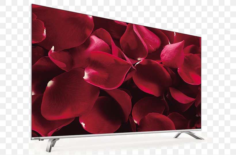 4K Resolution Ultra-high-definition Television Toshiba U6763DG Samsung KU6400 6 Series, PNG, 800x541px, 4k Resolution, Digital Television, Display Device, Display Resolution, Flower Download Free