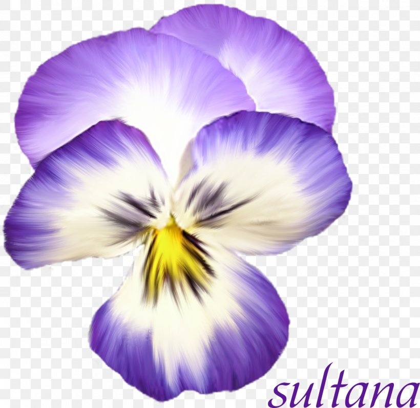 Violet Pansy Flower Bouquet, PNG, 1419x1380px, Violet, Ciceksepeticom, Digital Image, Flower, Flower Bouquet Download Free