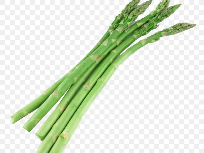 Bunch Of Asparagus Welsh Onion Vegetarian Cuisine, PNG, 1024x768px, Asparagus, Bamboo Shoot, Bunch Of Asparagus, Commodity, Cooking Download Free