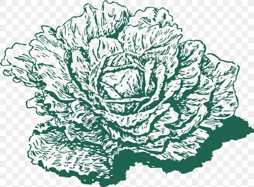 Collard Greens Leaf Vegetable Clip Art, PNG, 2400x1772px, Collard Greens, Artwork, Black And White, Cabbage, Cut Flowers Download Free