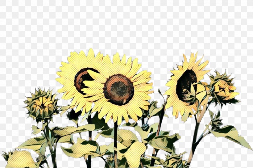 Common Sunflower Watercolor Painting Image SEVENTEEN, PNG, 960x638px, Common Sunflower, Asterales, Blog, Daisy Family, Flower Download Free