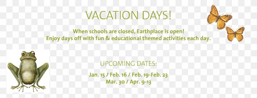 Earthplace Brujarella School Holiday Paper Email, PNG, 1440x550px, Brujarella, Brand, Electronic Mailing List, Email, Mammal Download Free