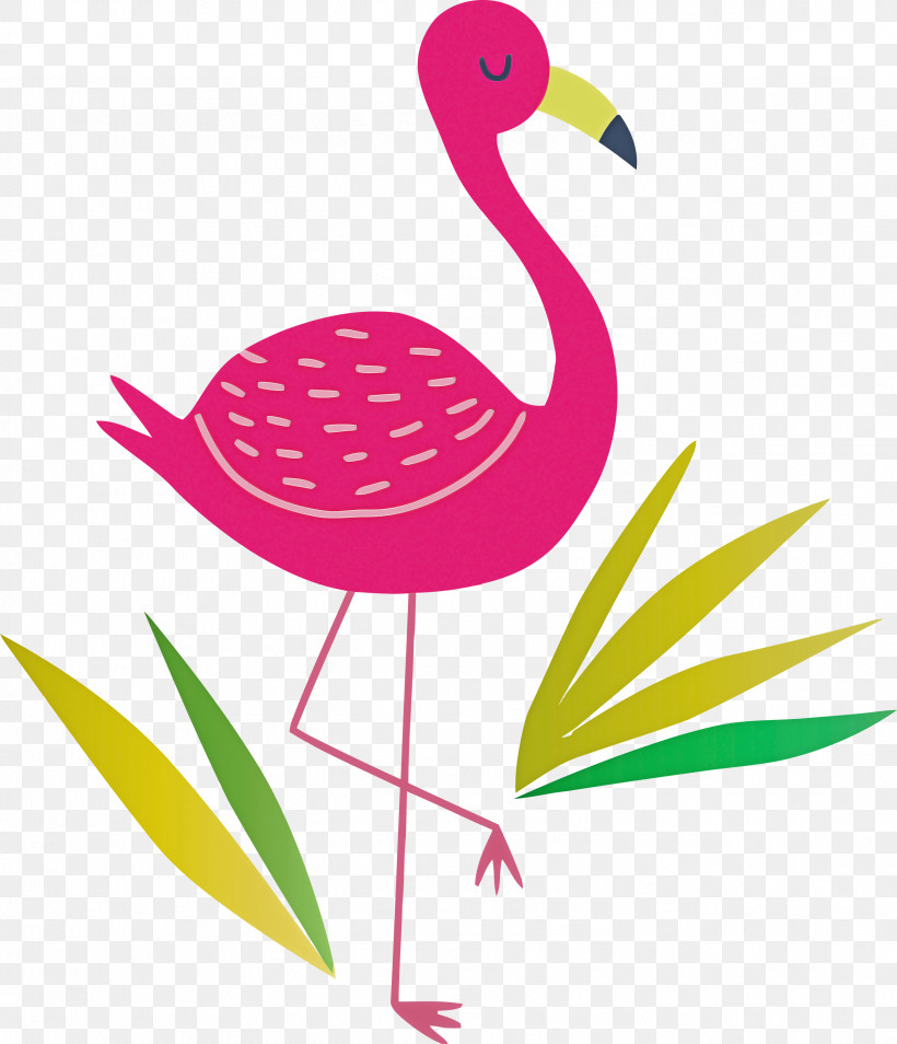 Flamingo, PNG, 2577x3000px, Birds, Beak, Flamingo, Leaf, Meter Download Free
