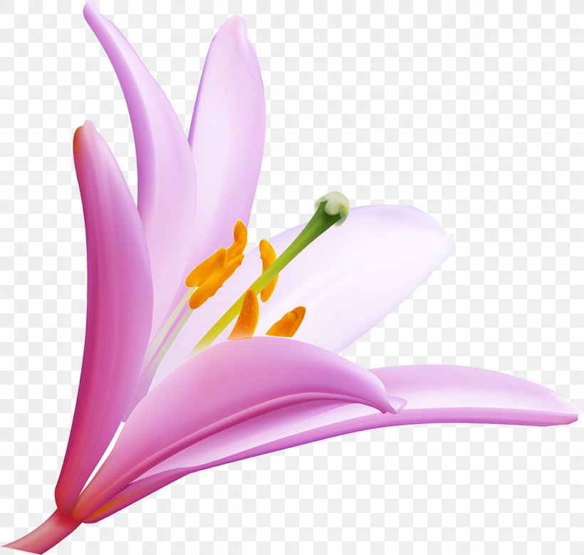 Flower Desktop Wallpaper Clip Art, PNG, 1200x1140px, Flower, Blue Rose, Close Up, Floral Design, Flowering Plant Download Free