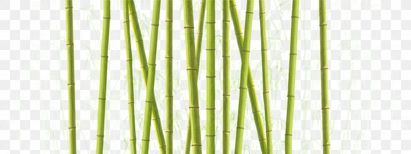 Green Plant Grass Grass Family Plant Stem, PNG, 1861x700px, Green, Bamboo, Grass, Grass Family, Plant Download Free