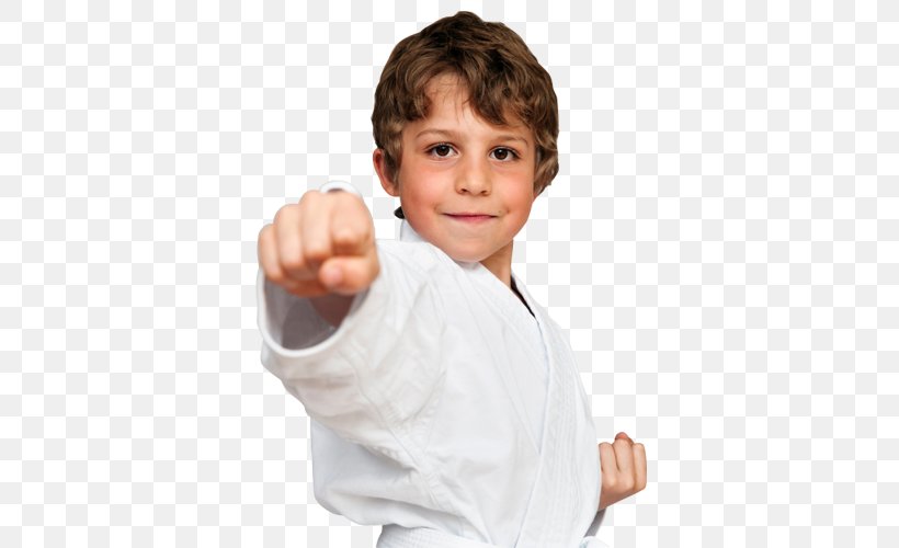 Karate Martial Arts Dojo Child Budō, PNG, 600x500px, Karate, Arm, Boy, Budo, Bujinkan Download Free