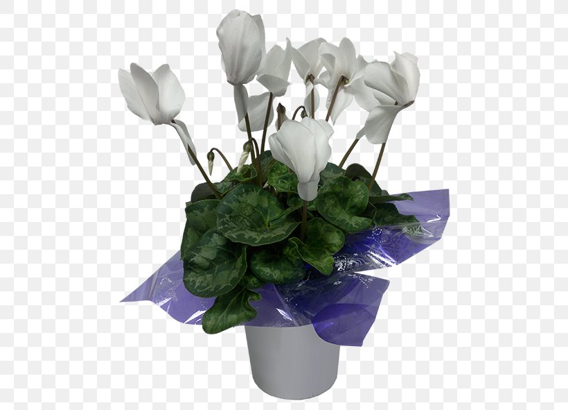 Rose Cyclamen Cut Flowers Flowerpot Plant, PNG, 500x591px, Rose, Arecaceae, Artificial Flower, Centrepiece, Cut Flowers Download Free