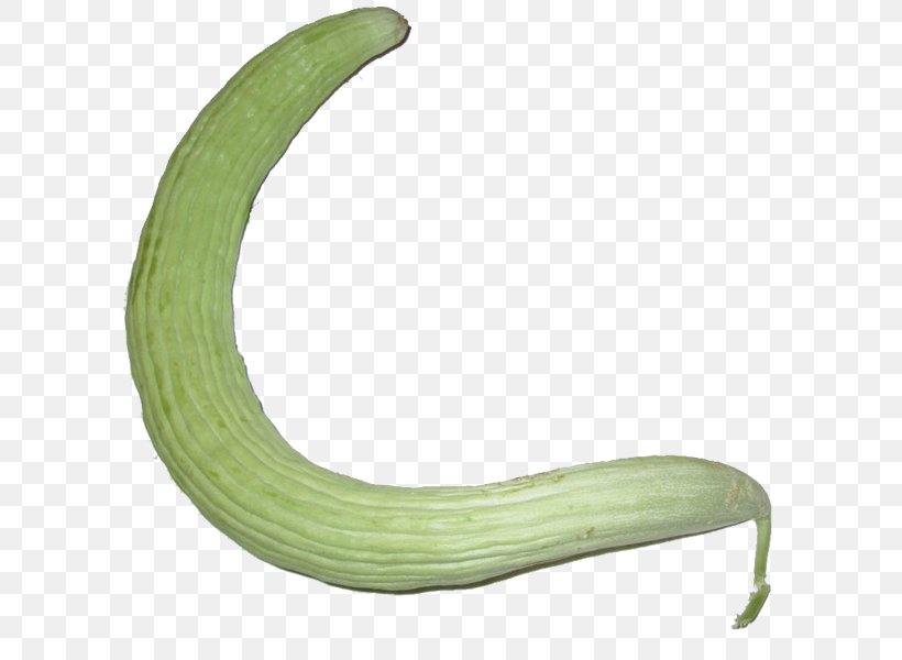 Armenian Cucumber Cucumis, PNG, 600x600px, Cucumber, Armenian Cucumber, Cucumber Gourd And Melon Family, Cucumis, Gourd Order Download Free