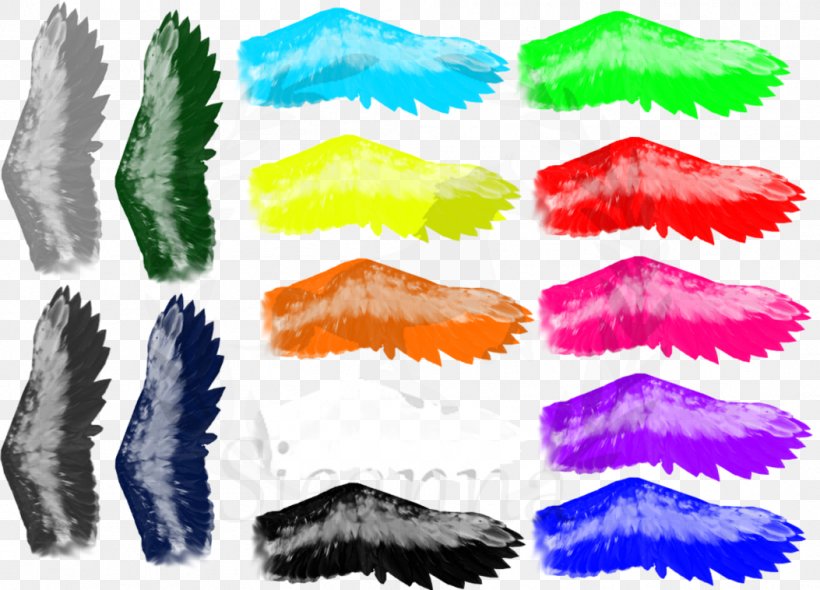 Bird Feather Wing Animal DeviantArt, PNG, 1053x758px, Bird, Animal, Color, Credit, Deviantart Download Free