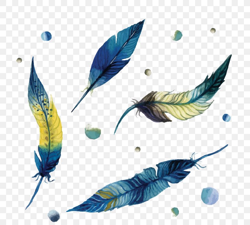 Feather Euclidean Vector, PNG, 800x739px, Feather, Bird, Drawing, Painting, Watercolor Painting Download Free