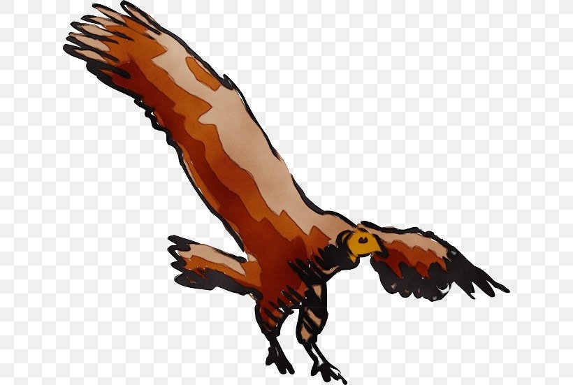 Golden Eagle Bird Bird Of Prey Clip Art Hawk, PNG, 640x551px, Watercolor, Bird, Bird Of Prey, Claw, Eagle Download Free