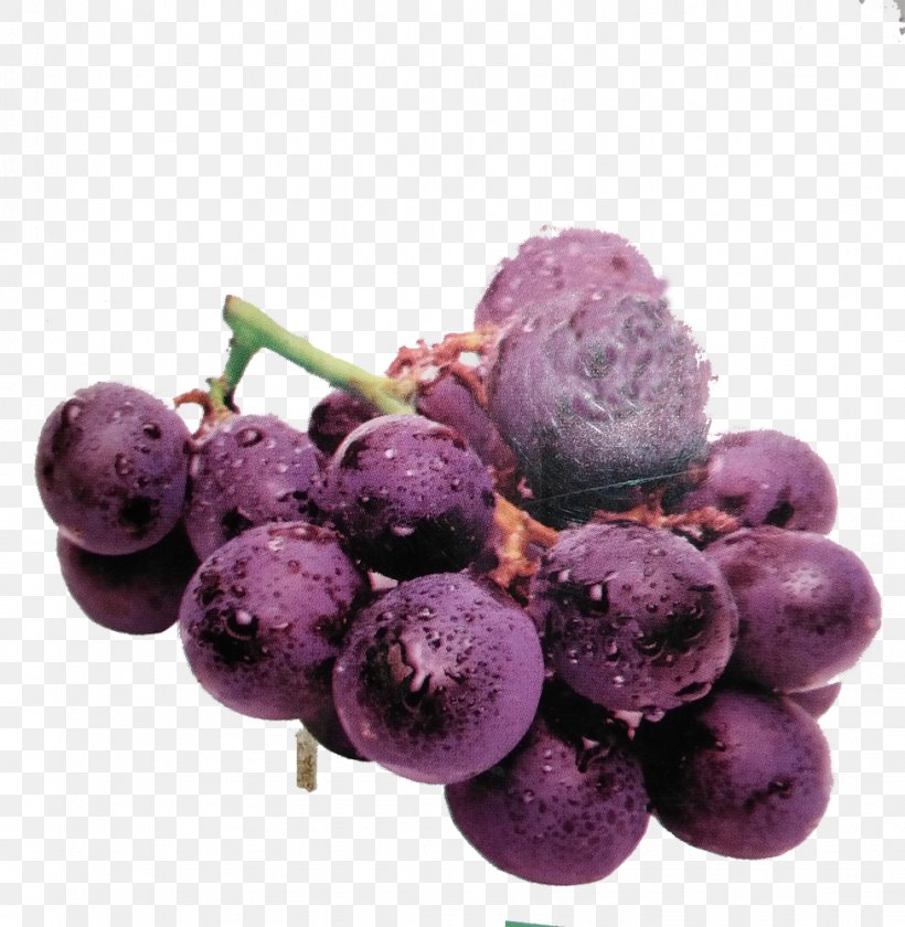 Grape Juice Fruit Purple, PNG, 976x1000px, Grape, Berry, Blueberry, Food, Fruchtsaft Download Free
