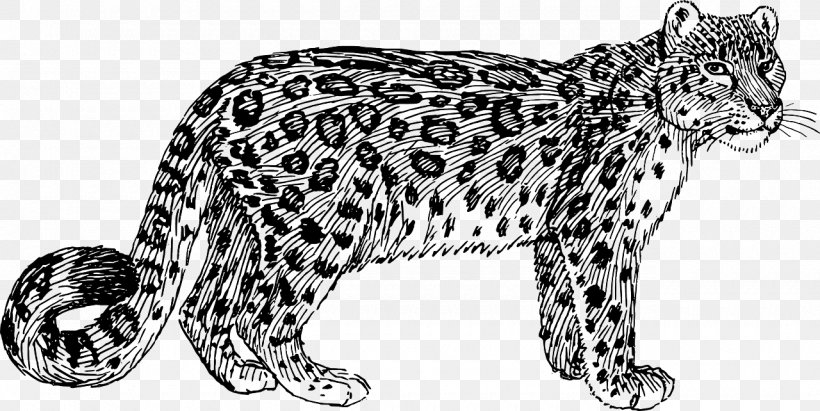 Snow Leopard Amur Leopard Tiger Clip Art, PNG, 1280x642px, Leopard, Animal Figure, Big Cat, Big Cats, Black And White Download Free