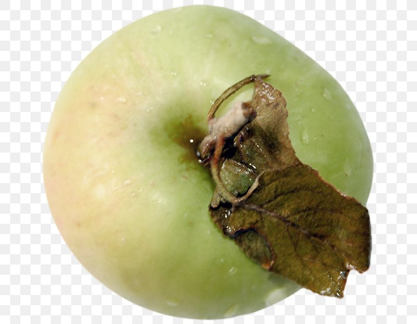 Apple Fruit, PNG, 669x637px, Apple, Albom, Color, Dessert, Food Download Free