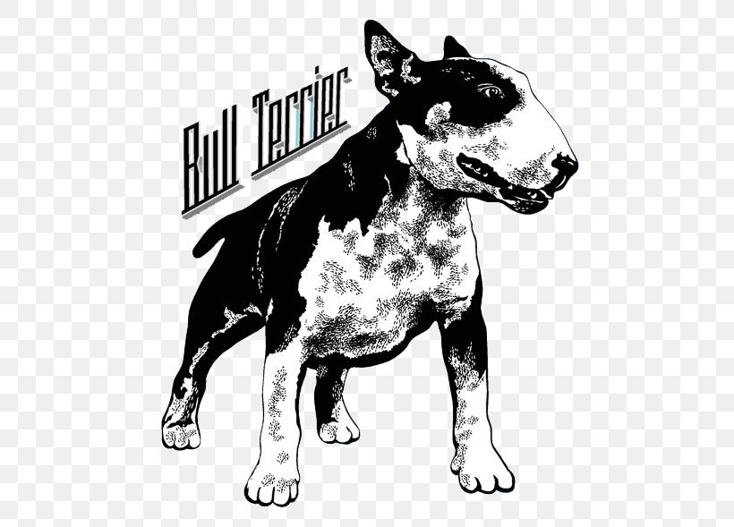 Bull Terrier T-shirt Hoodie Sleeve Clothing, PNG, 500x589px, Bull Terrier, Aliexpress, Art, Black And White, Boston Terrier Download Free