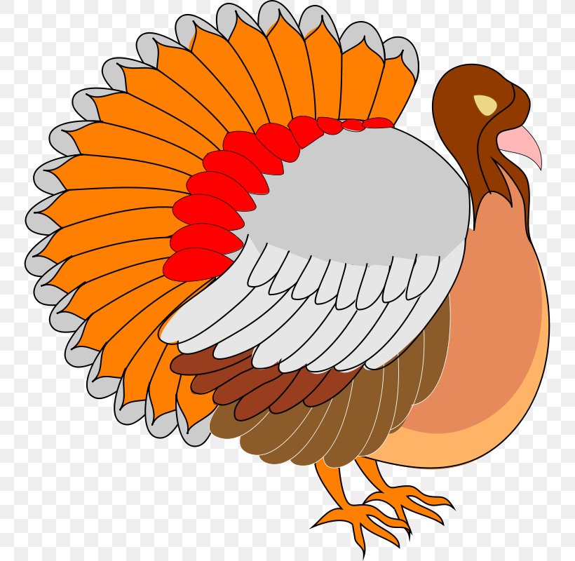 Clip Art Turkey Meat Bird Stuffing, PNG, 751x800px, Turkey Meat, Artwork, Beak, Bird, Chicken Download Free