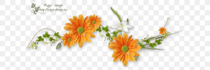 Flower Orange Color, PNG, 624x273px, 2017, Flower, Artificial Flower, Birthday, Calendula Download Free