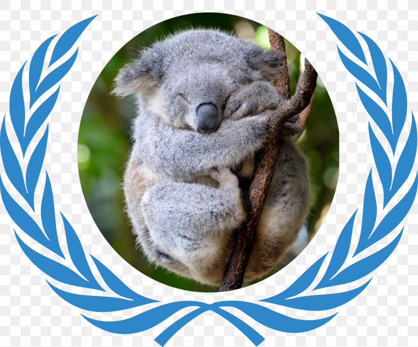 Model United Nations Flag Of The United Nations Harvard International Relations Council Organization, PNG, 1915x1592px, United Nations, Fauna, Flag Of The United Nations, Koala, Mammal Download Free