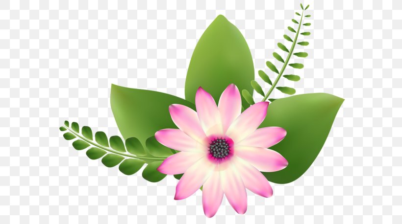 Pink Flowers Petal Clip Art, PNG, 600x458px, Flower, Art, Drawing, Floral Design, Flowering Plant Download Free