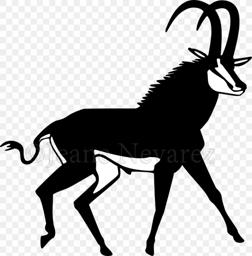 Sable Antelope Clip Art, PNG, 847x859px, Antelope, Animal, Artwork, Black  And White, Cow Goat Family Download